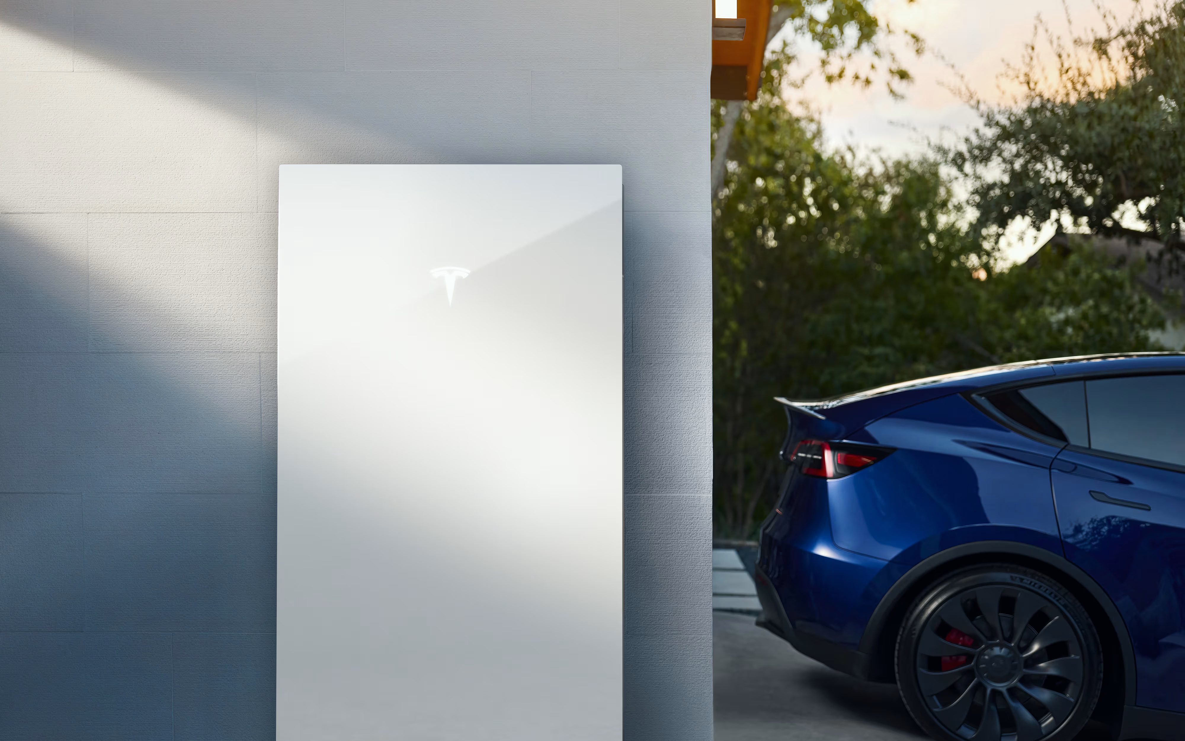 Model X Image